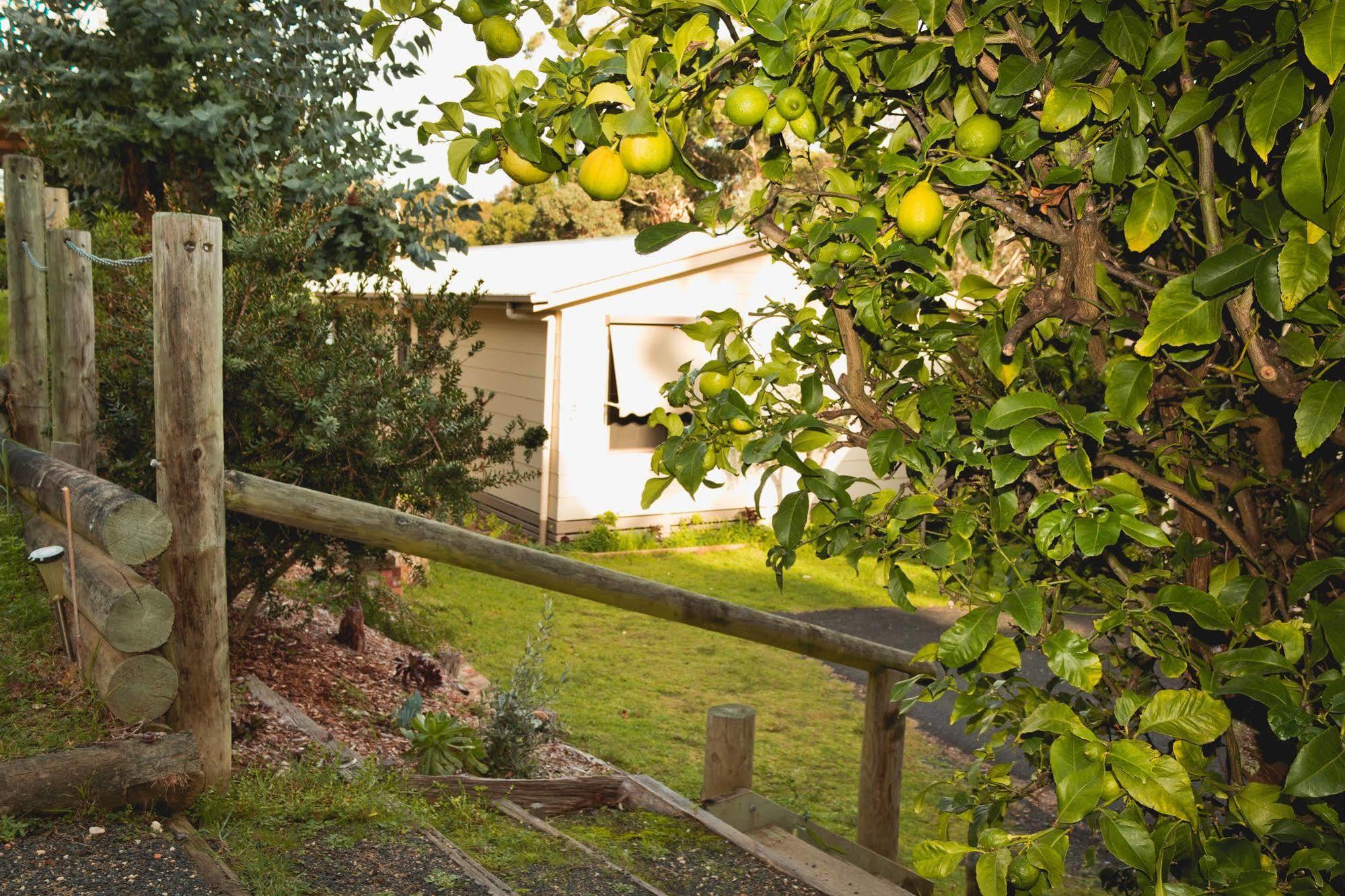 Jetty Road Retreat Apartment Nungurner Exterior photo